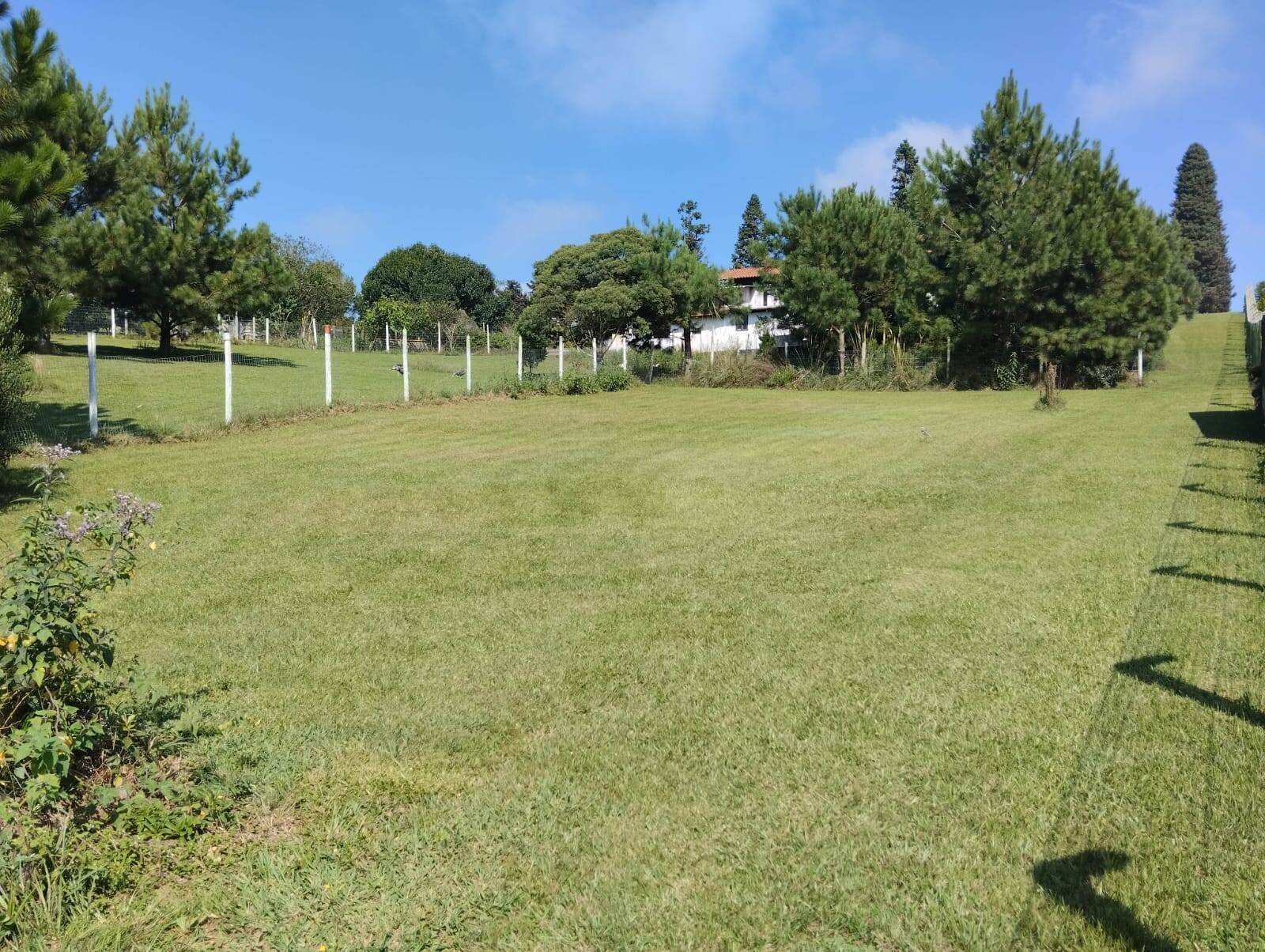 Fazenda à venda com 3 quartos, 180m² - Foto 7