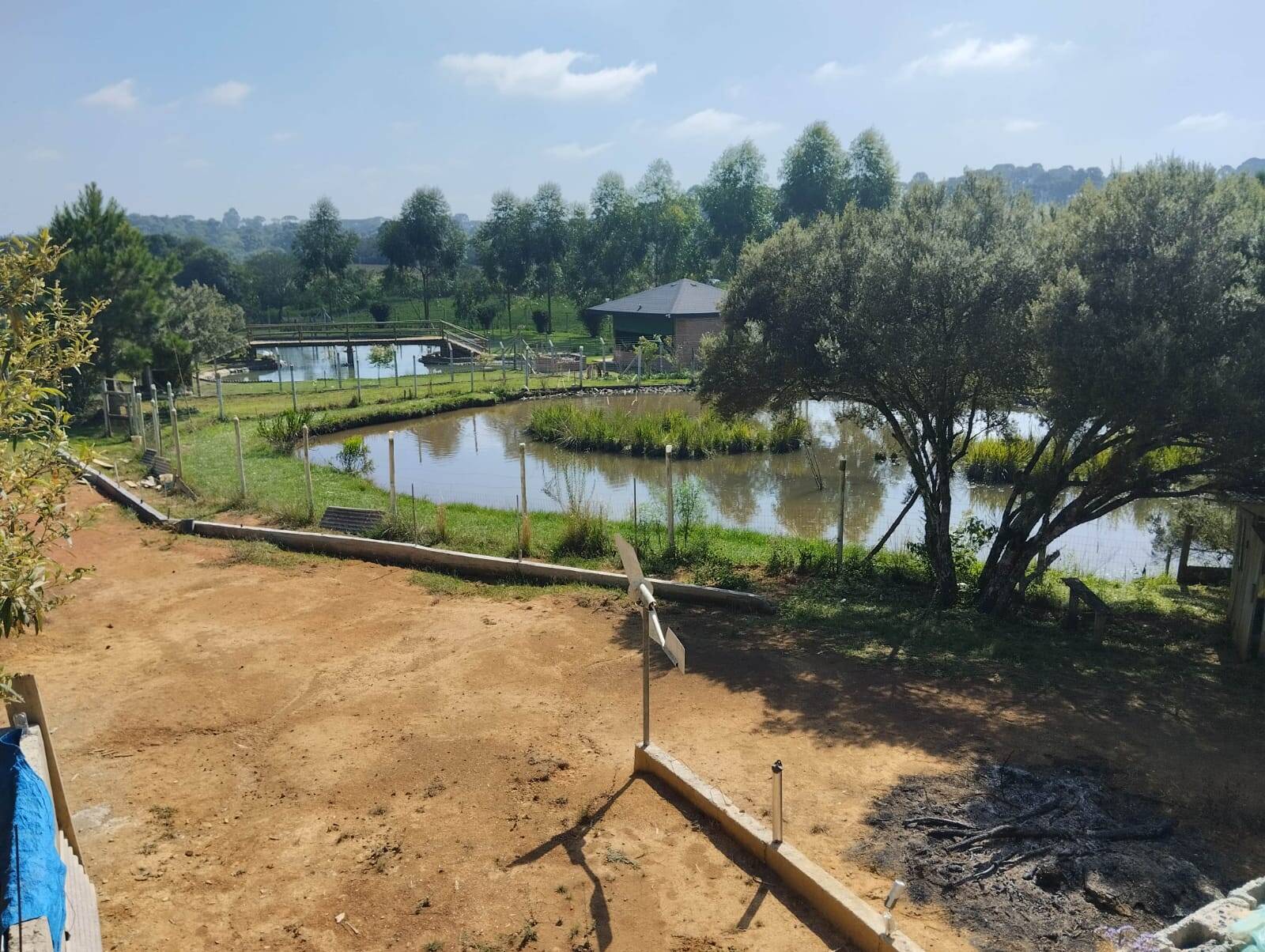 Fazenda à venda com 3 quartos, 180m² - Foto 6