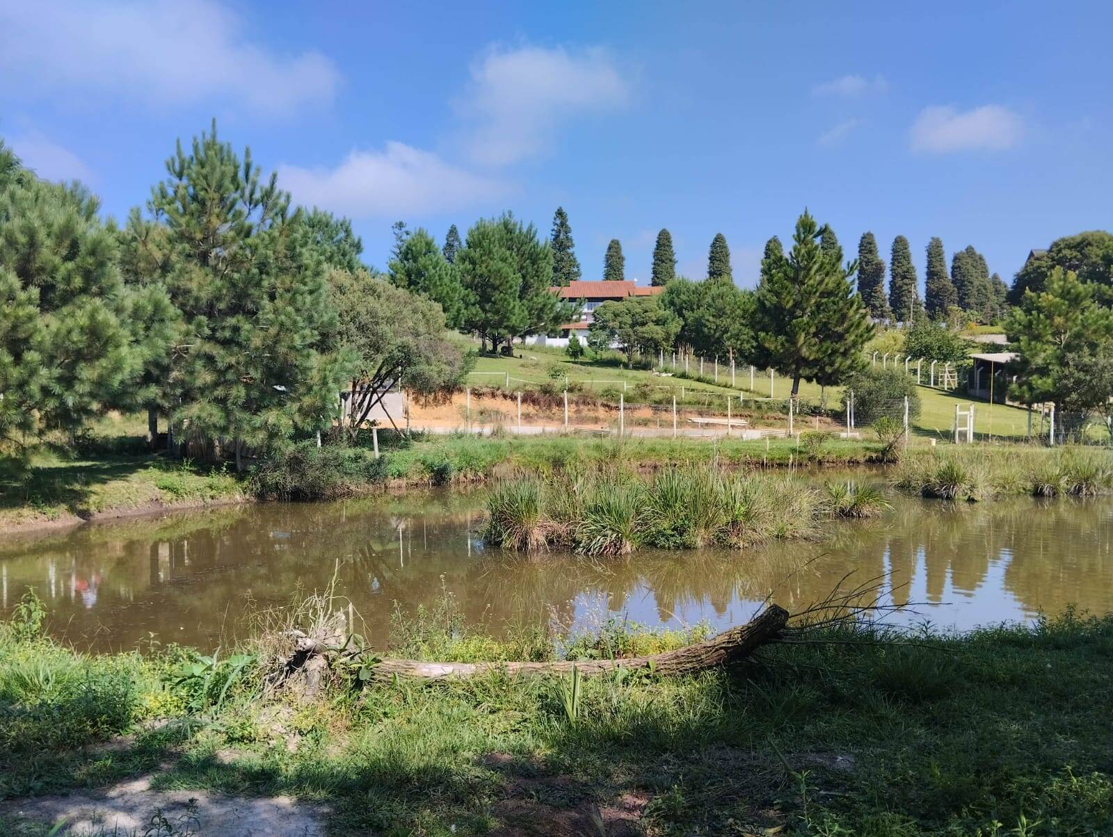 Fazenda à venda com 3 quartos, 180m² - Foto 30