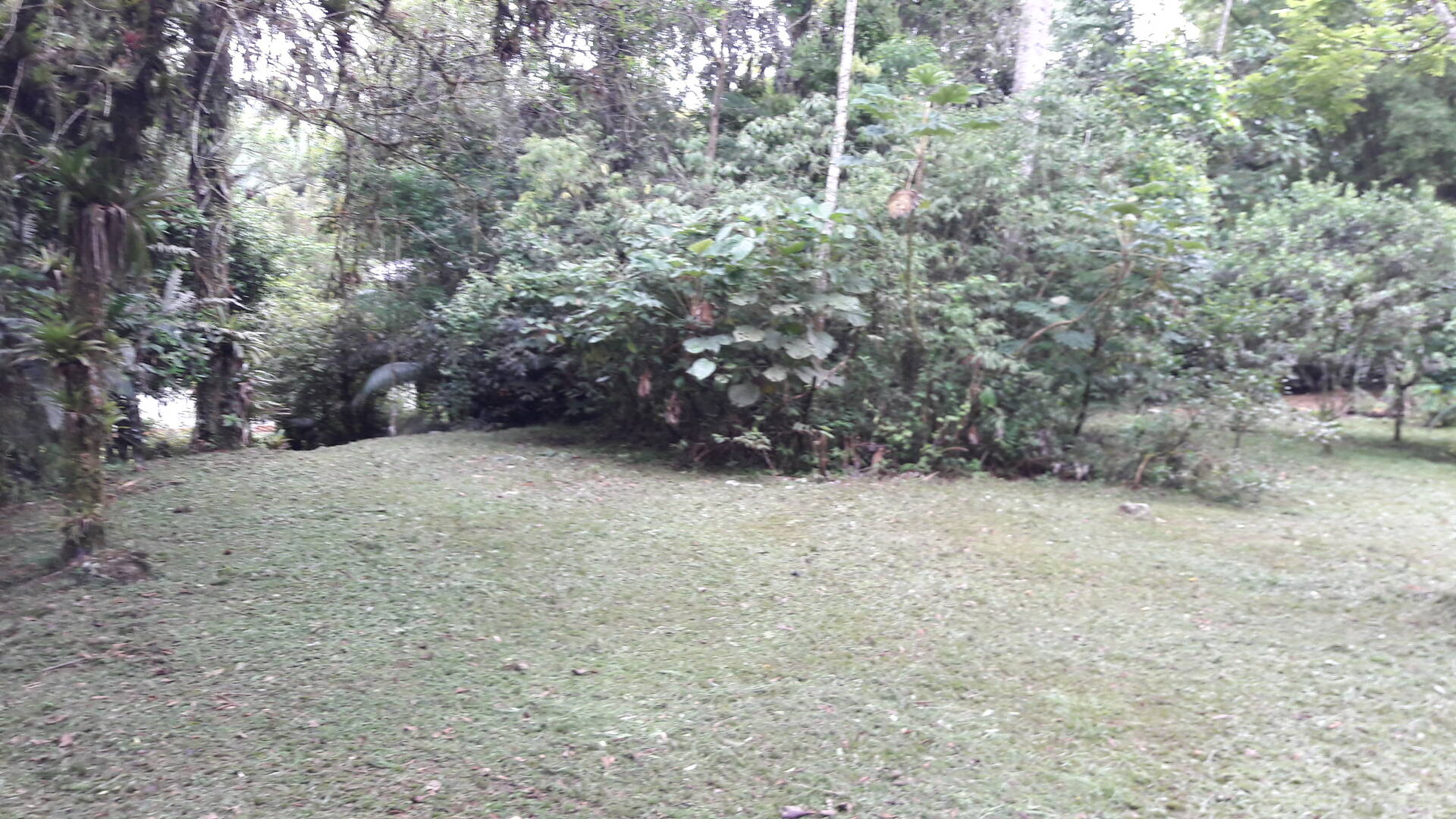 Fazenda à venda com 5 quartos, 192m² - Foto 6