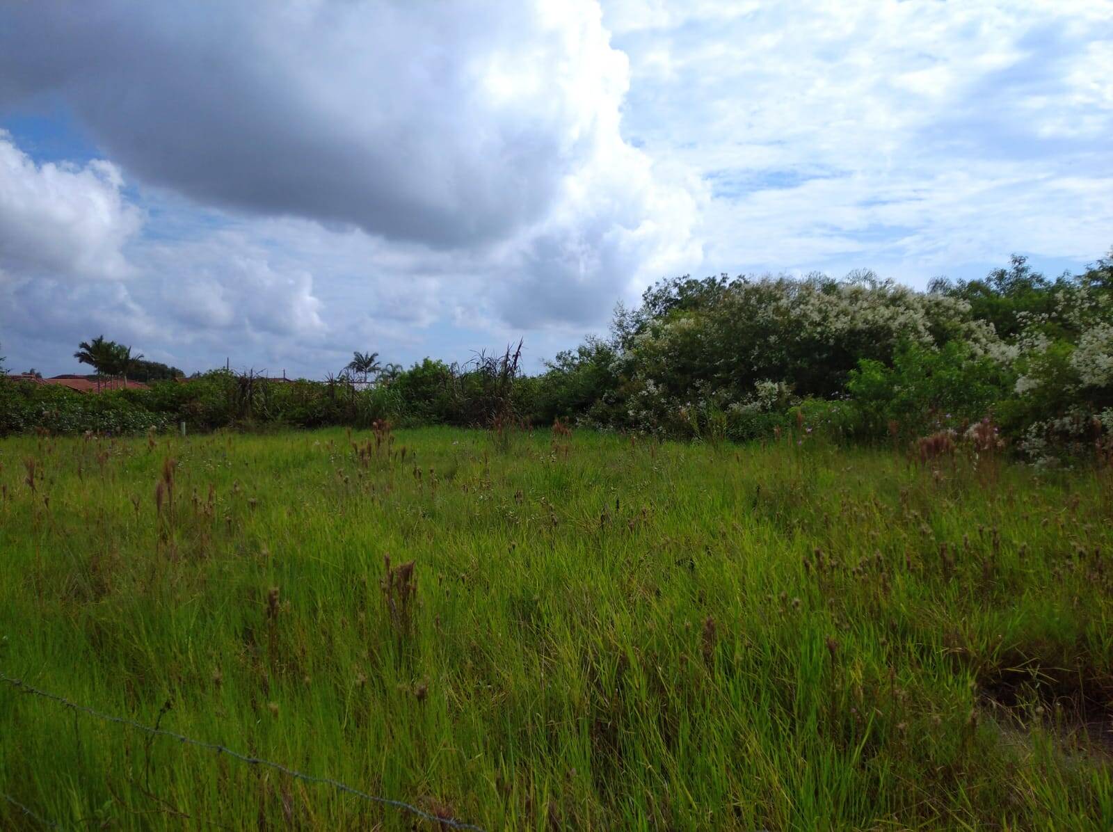 Terreno à venda, 648m² - Foto 10