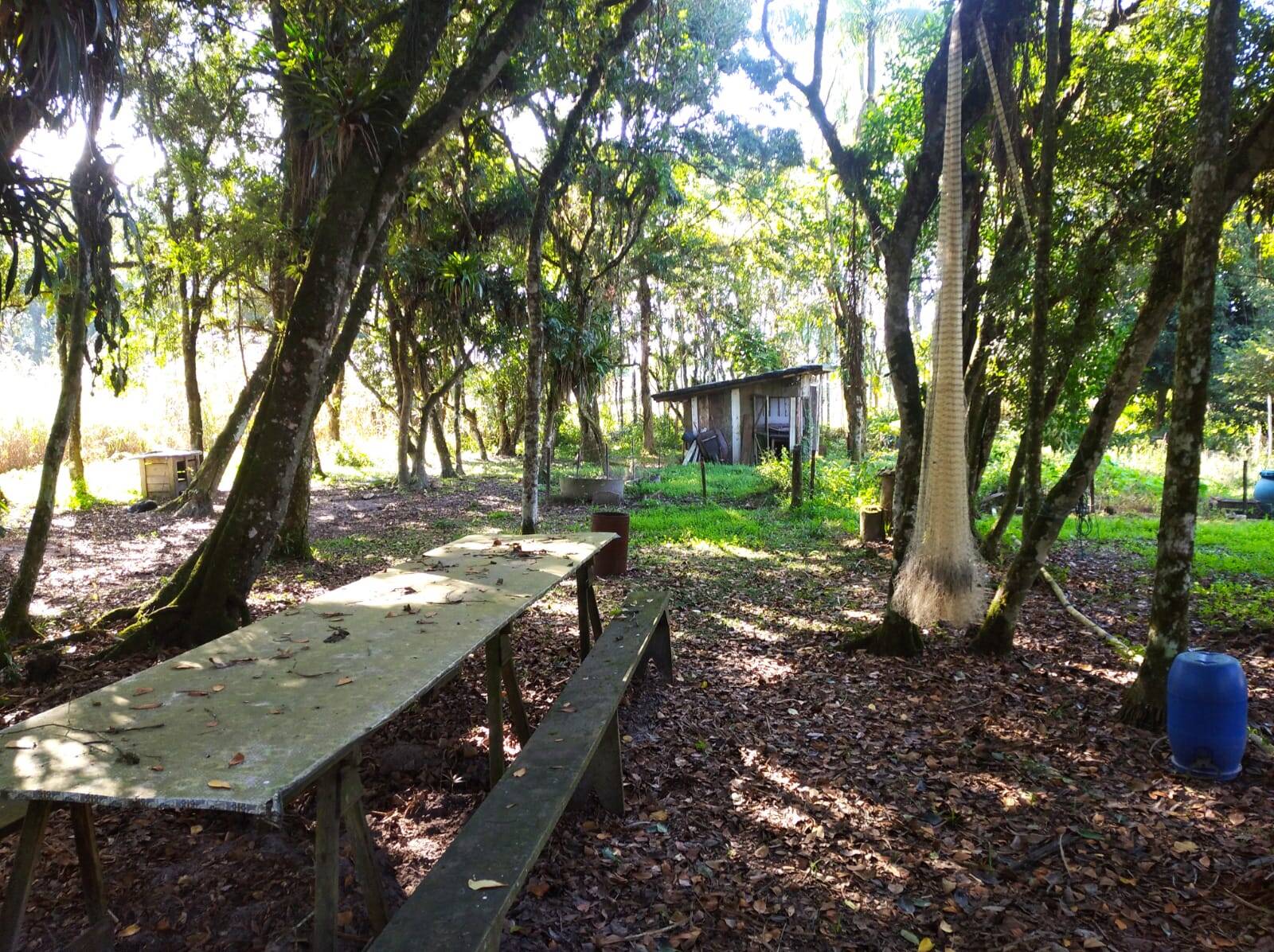 Terreno à venda, 80000m² - Foto 5