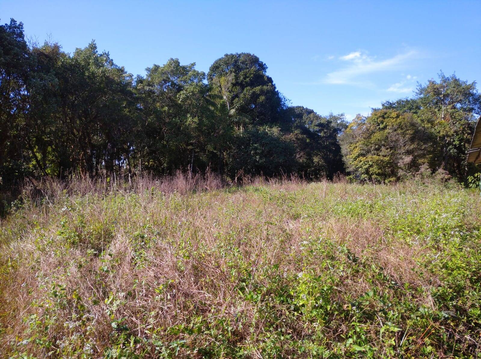 Terreno à venda, 80000m² - Foto 17