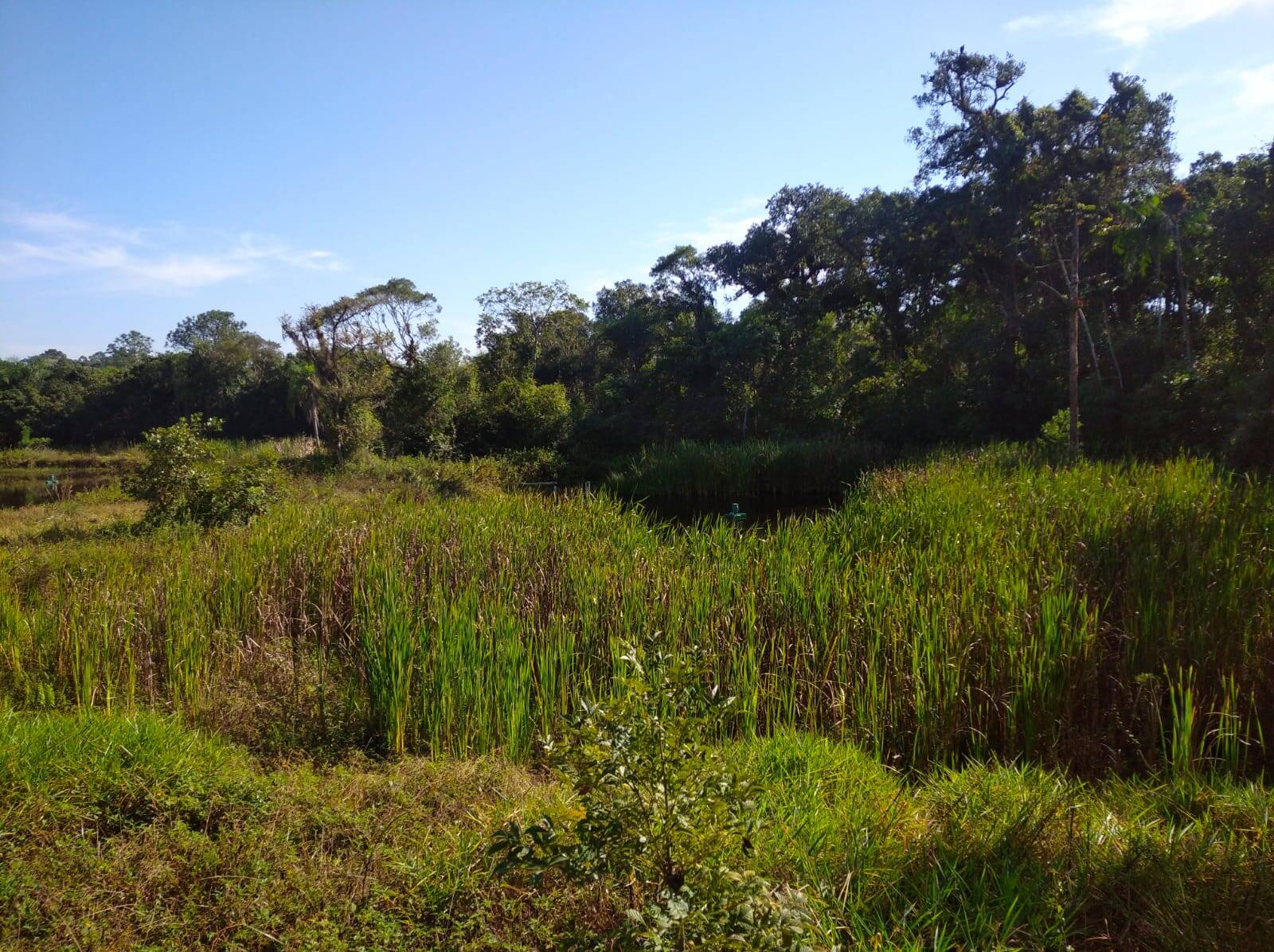 Terreno à venda, 80000m² - Foto 18