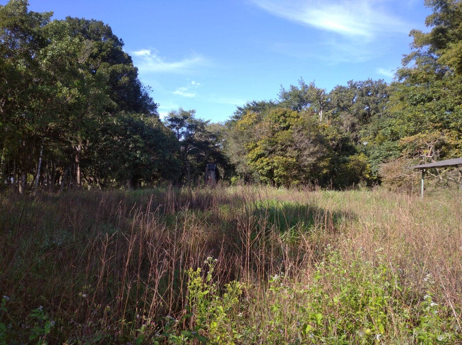 Terreno à venda, 80000m² - Foto 20