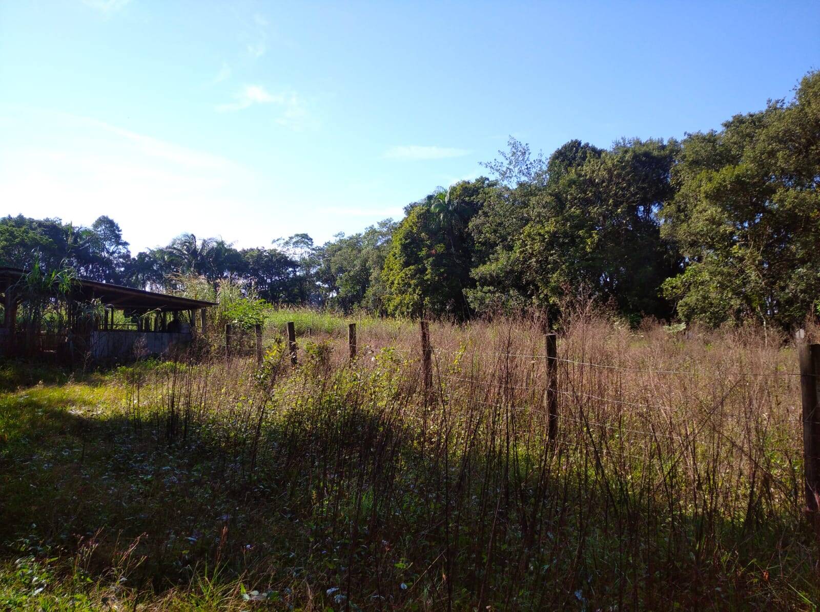 Terreno à venda, 80000m² - Foto 22