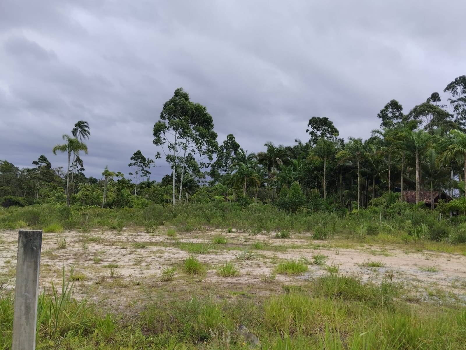 Terreno à venda, 5900m² - Foto 5