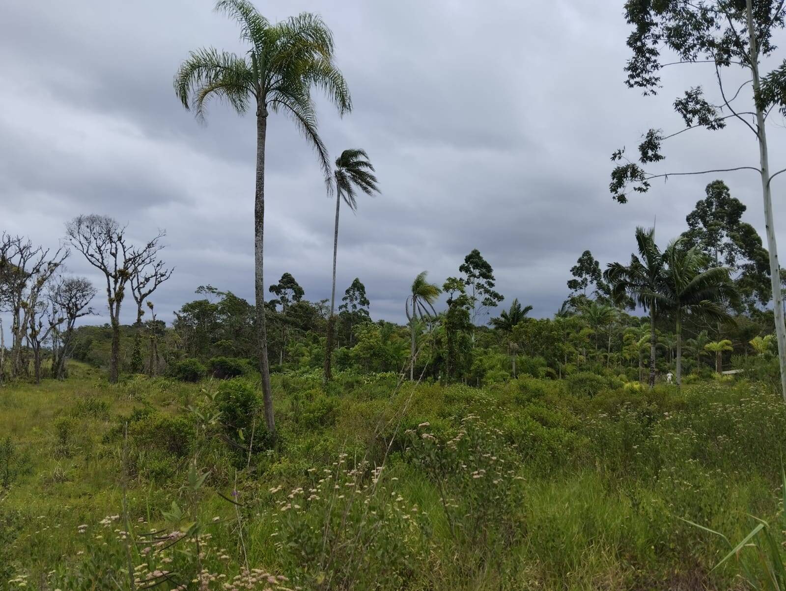 Terreno à venda, 5900m² - Foto 11